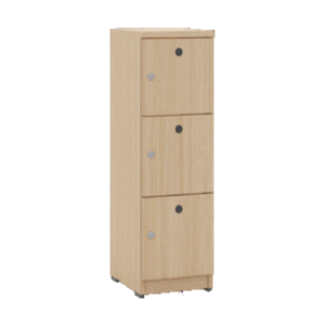 Shoe Locker GRFMSC-D09